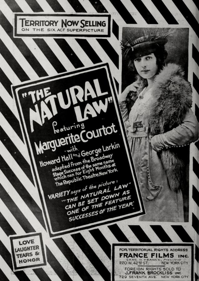 The Natural Law photo