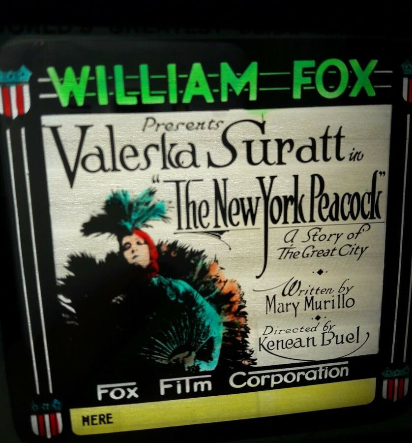 The New York Peacock photo