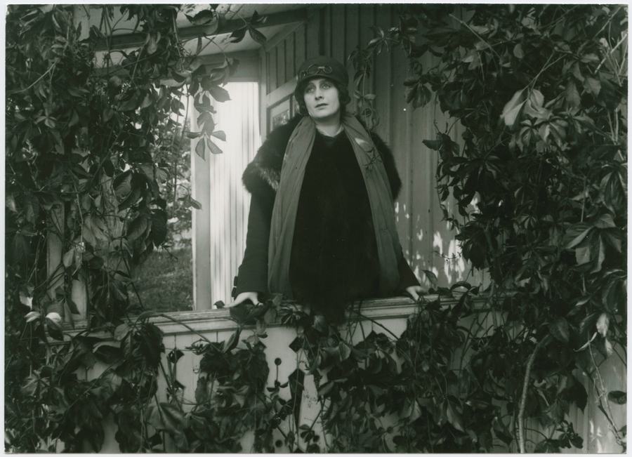 Paradisfågeln photo