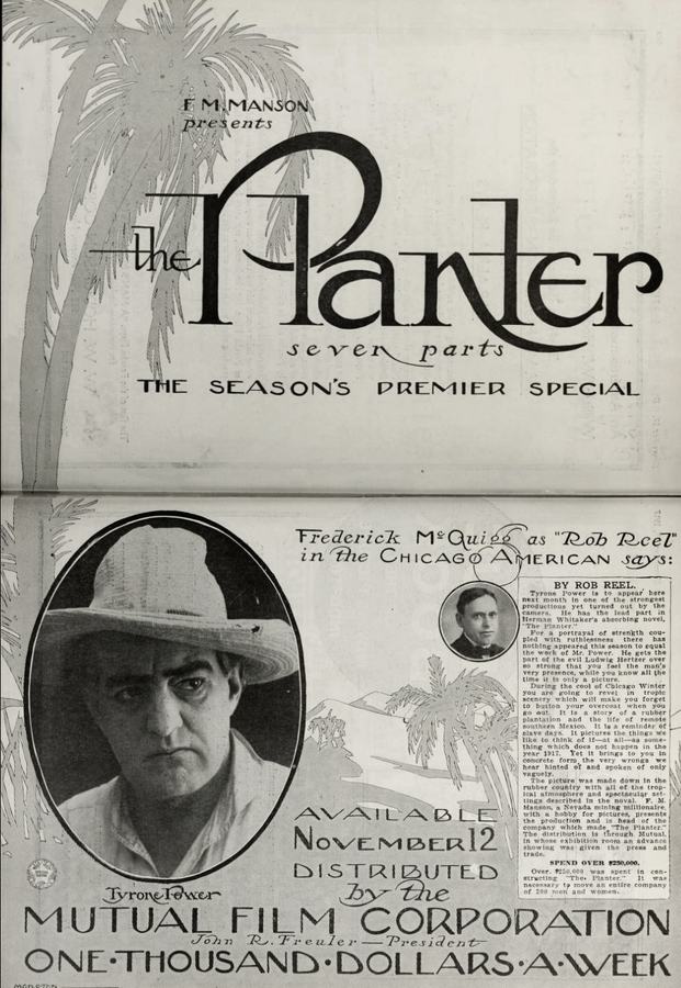 The Planter photo