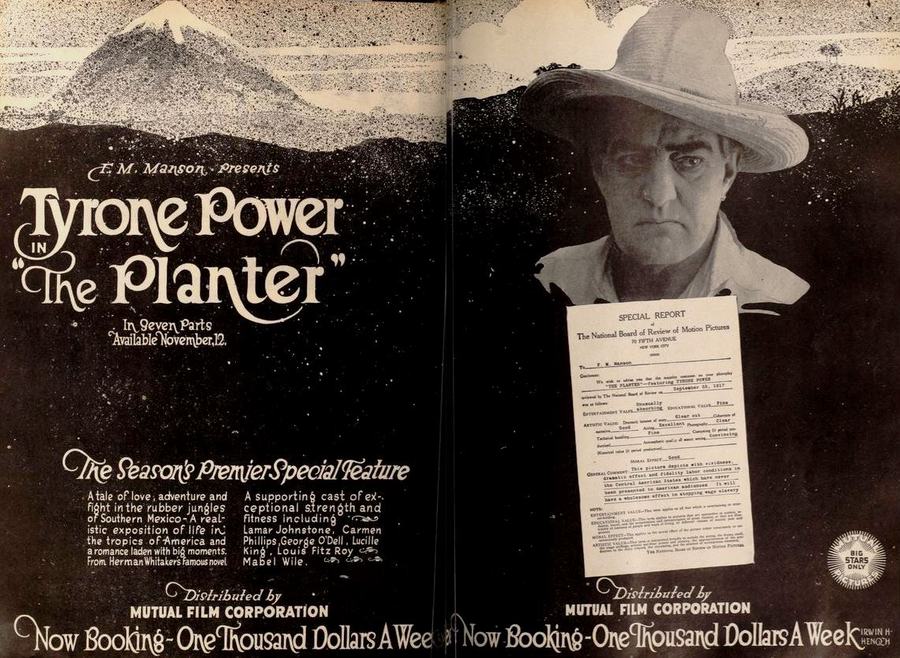 The Planter photo