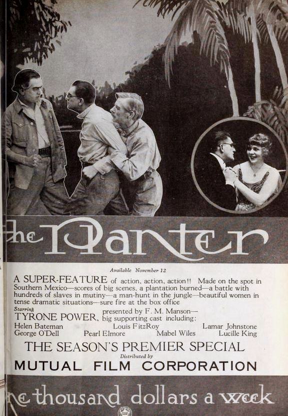 The Planter photo