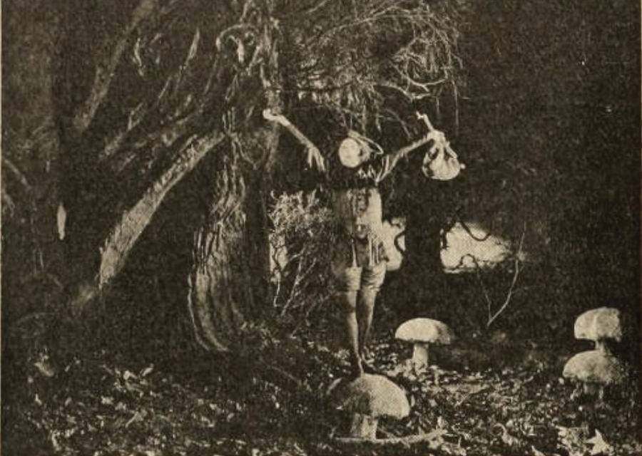 The Primrose Ring scene