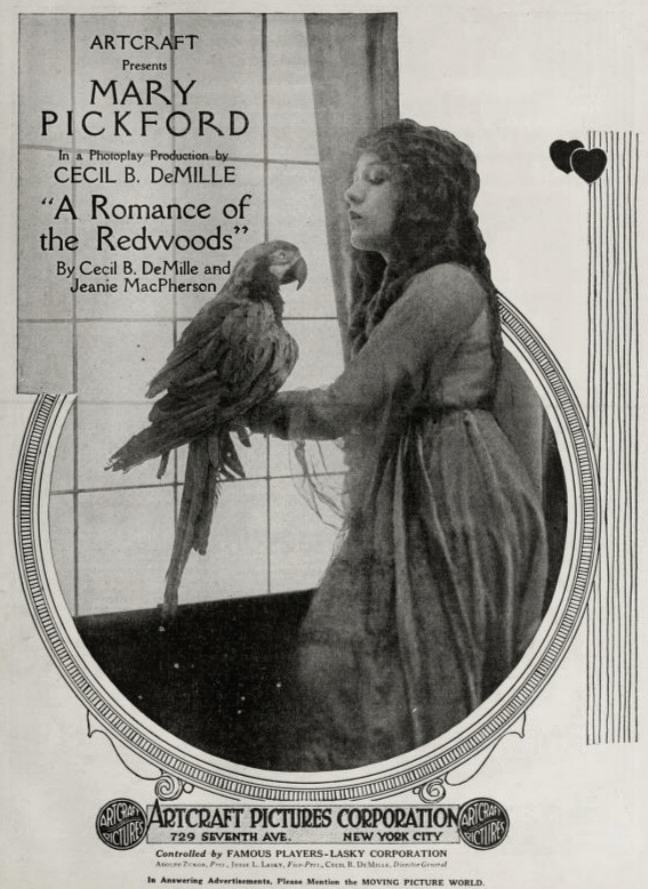 A Romance of the Redwoods photo