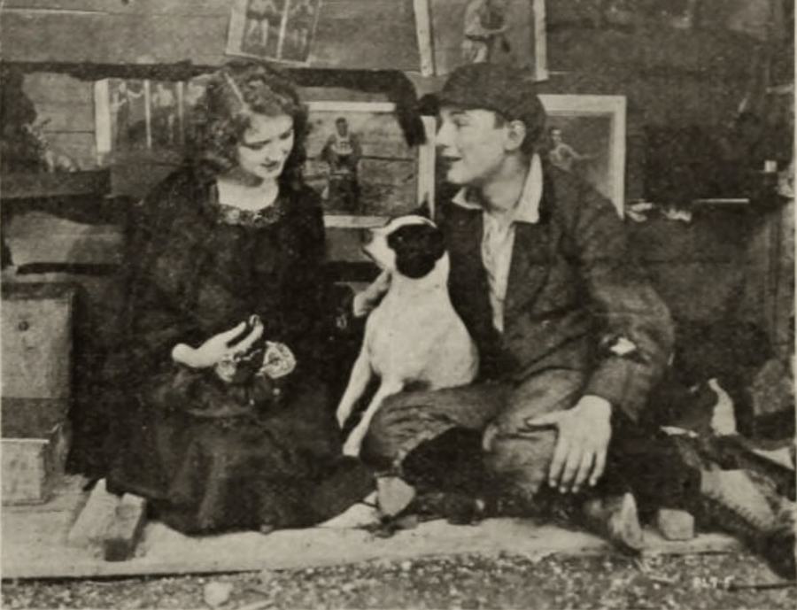 The Trouble Buster photo