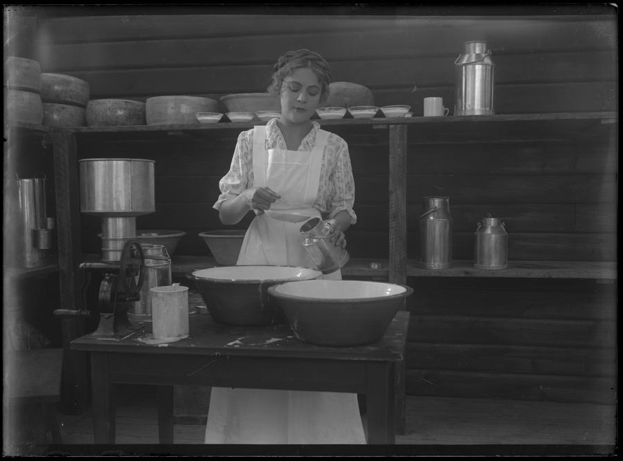 The Girl from the Marsh Croft photo
