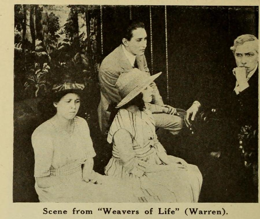 The Weavers of Life photo
