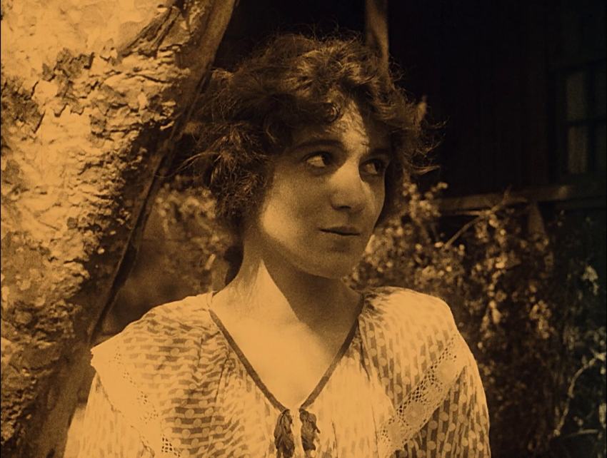 Wolf Lowry photo
