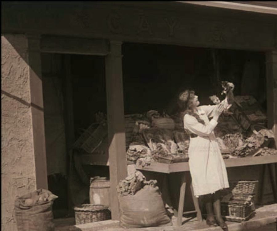 Boundary House scene