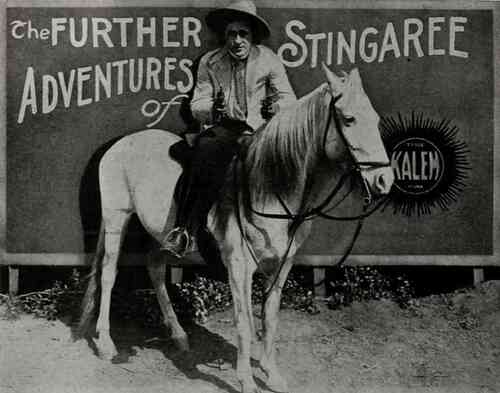 The Further Adventures of Stingaree photo