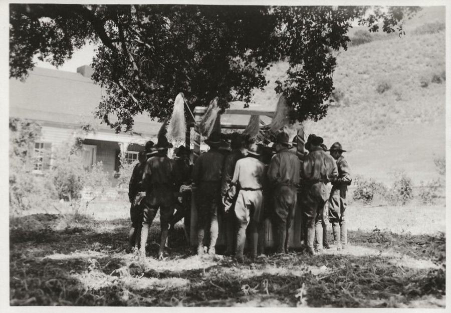 Johanna Enlists photo