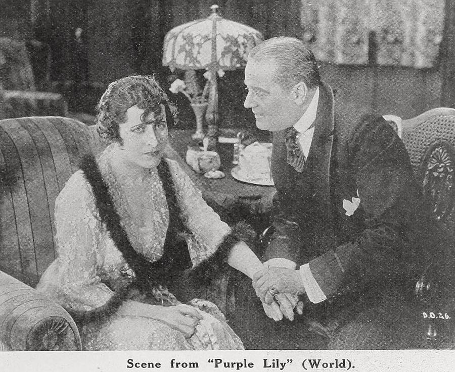 The Purple Lily