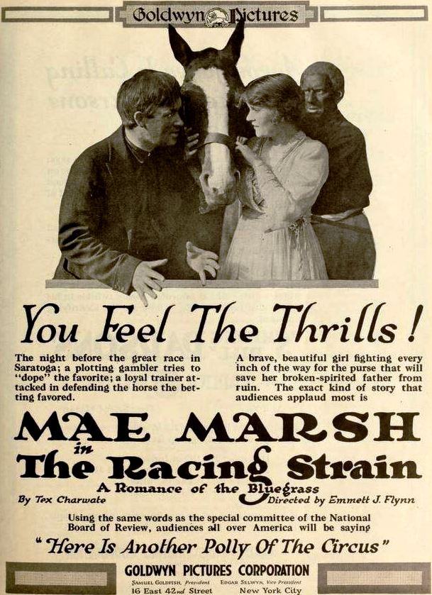 The Racing Strain photo