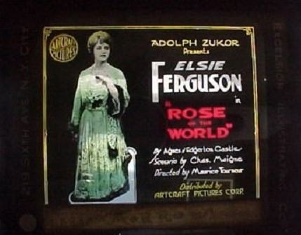 Rose of the World photo