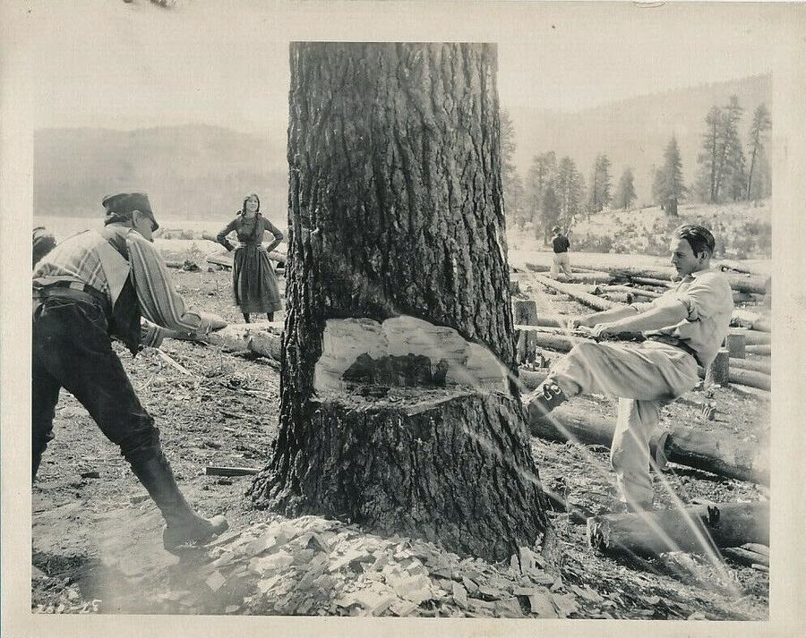 The Source photo
