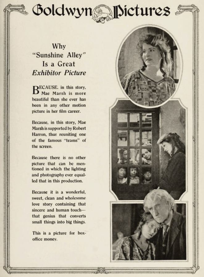 Sunshine Alley photo