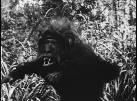 Tarzan of the Apes scene