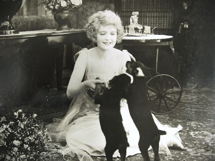 The Testing of Mildred Vane photo