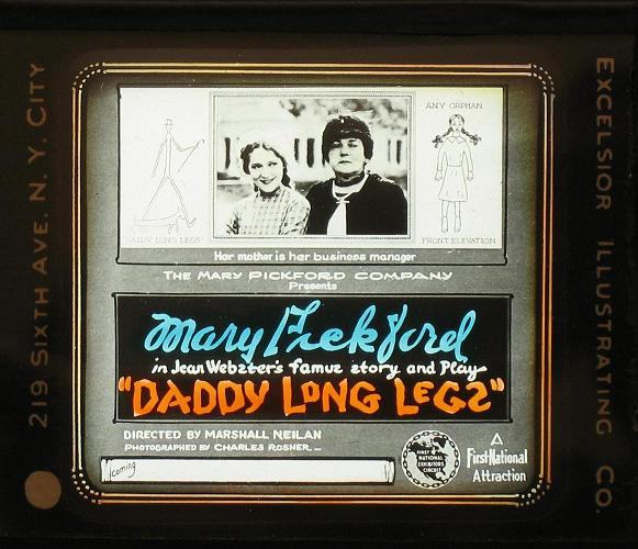 Daddy-Long-Legs photo