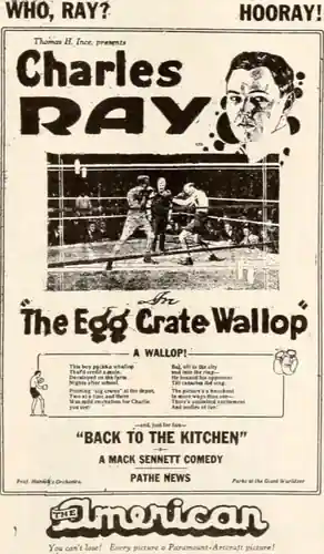 The Egg Crate Wallop photo