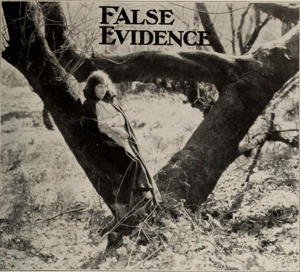 False Evidence photo