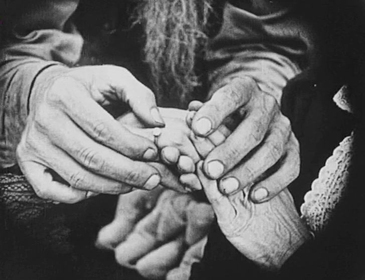 The Hayseed photo
