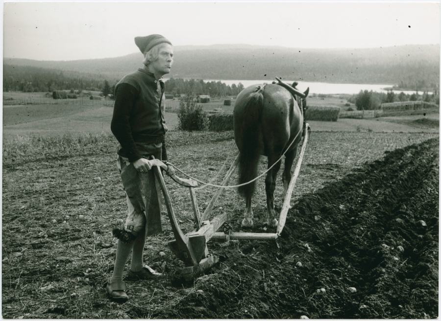 Ingmarssönerna photo