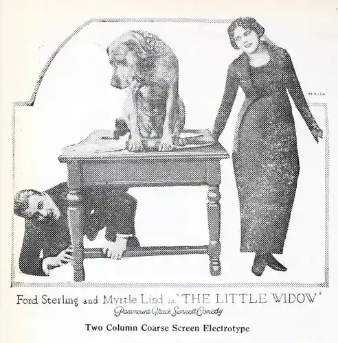 The Little Widow photo
