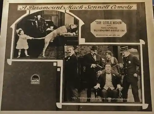 The Little Widow photo