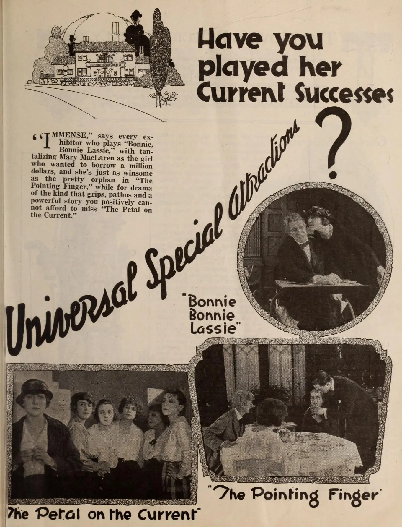 A Petal on the Current scene