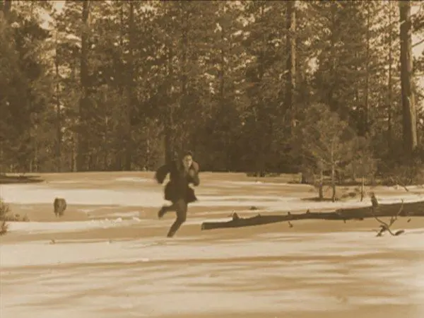 A Sammy in Siberia photo