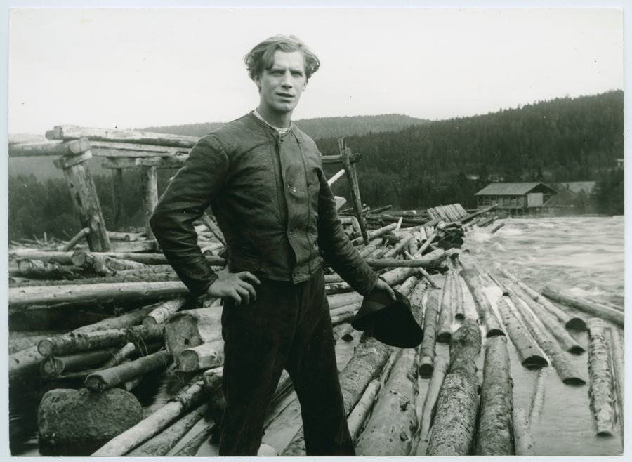 Sången om den eldröda blomman scene