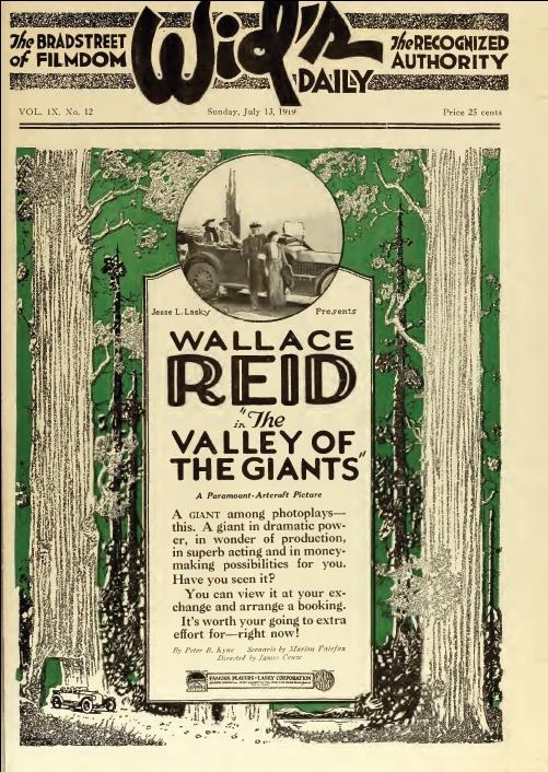 The Valley of the Giants photo