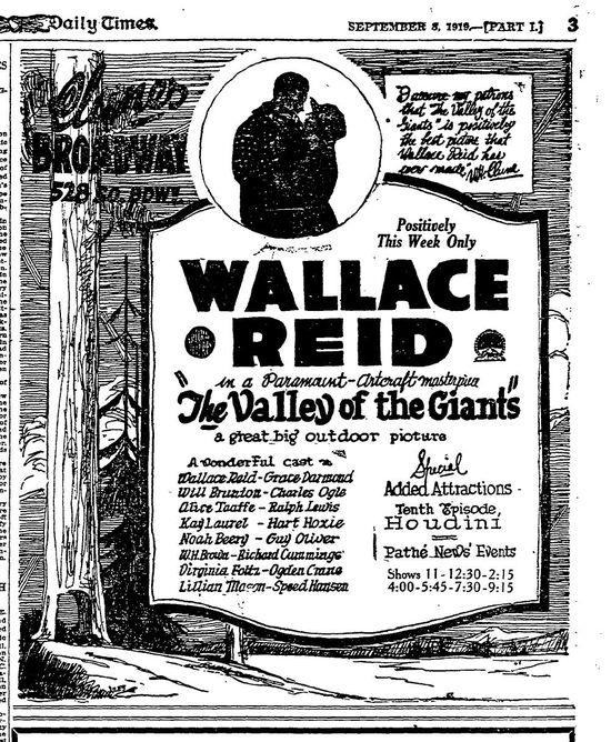 The Valley of the Giants photo