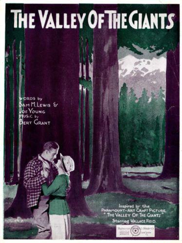 The Valley of the Giants photo