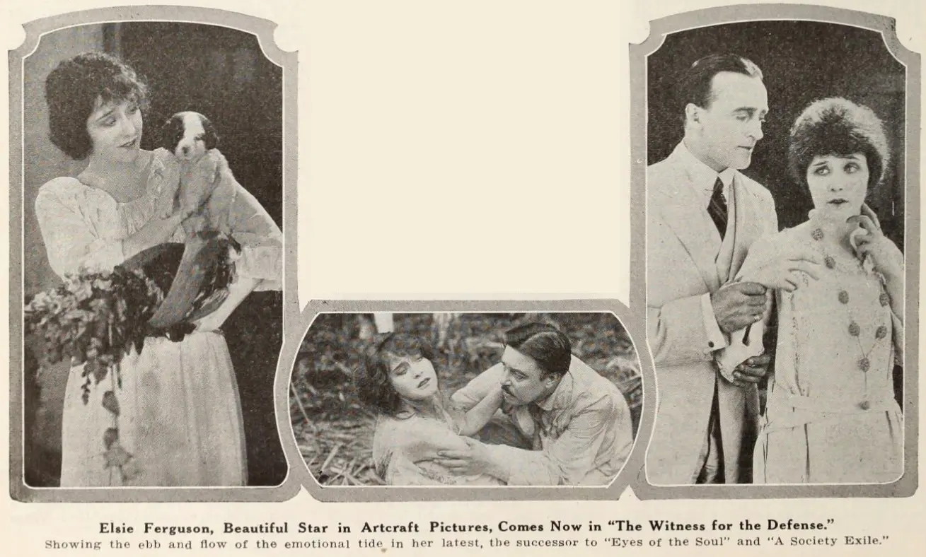 The Witness for the Defense photo