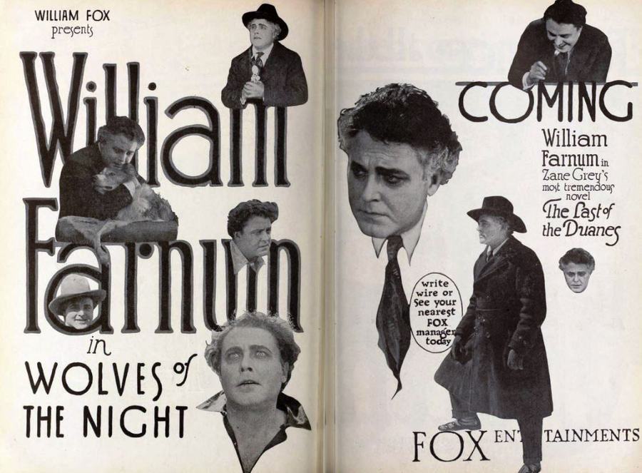 Wolves of the Night scene