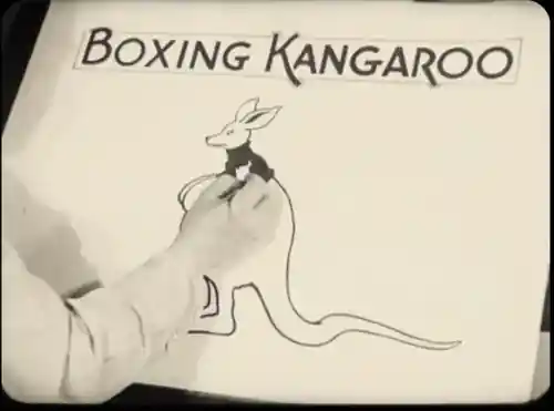 The Boxing Kangaroo photo