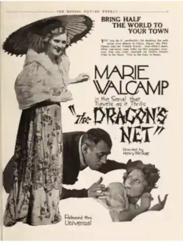 The Dragon's Net photo