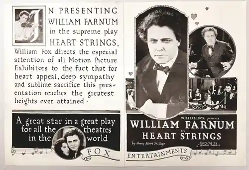 Heart Strings photo
