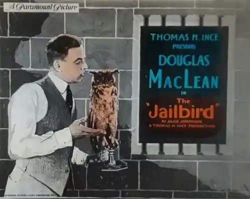 The Jailbird scene