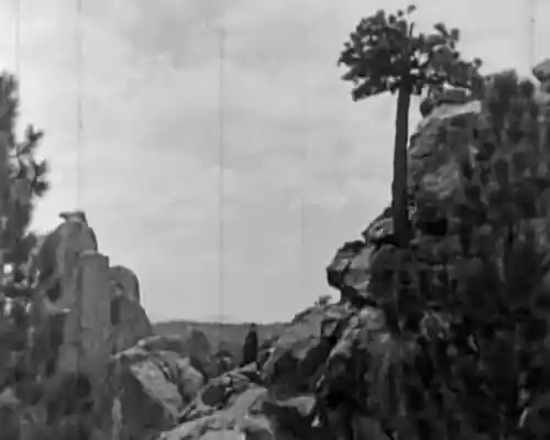 The Last of the Mohicans photo