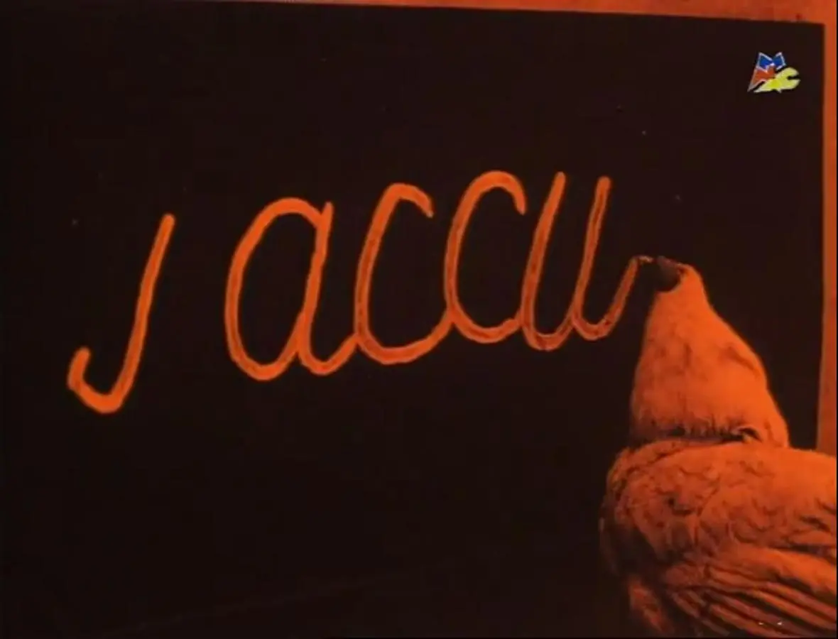 Moi aussi, j'accuse