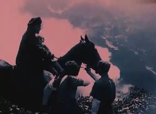The Great Cattle War photo