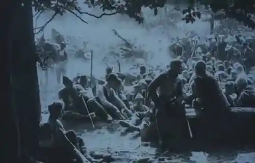 The Great Cattle War photo