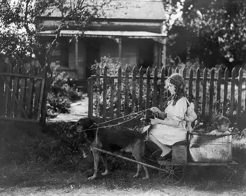 Pollyanna scene
