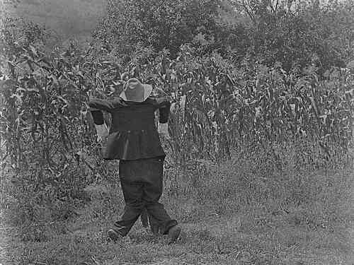 The Scarecrow scene
