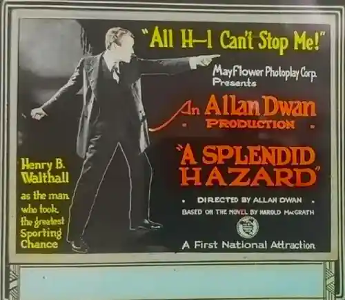 A Splendid Hazard photo