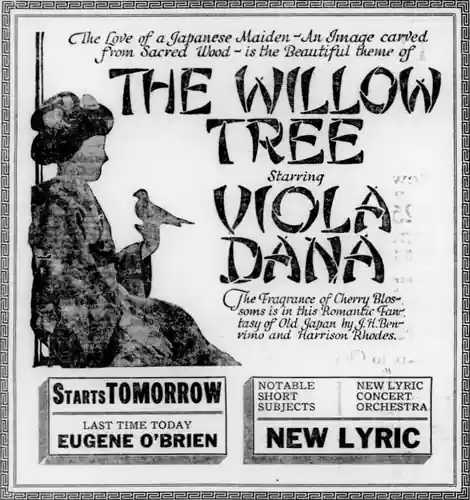 The Willow Tree photo