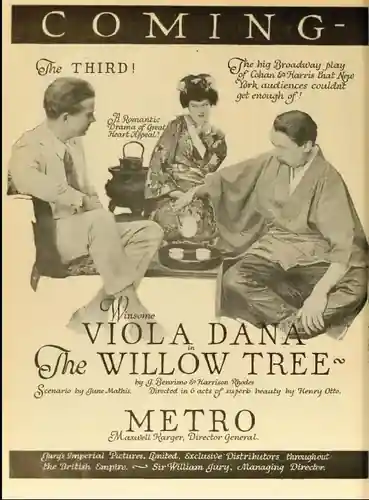 The Willow Tree photo